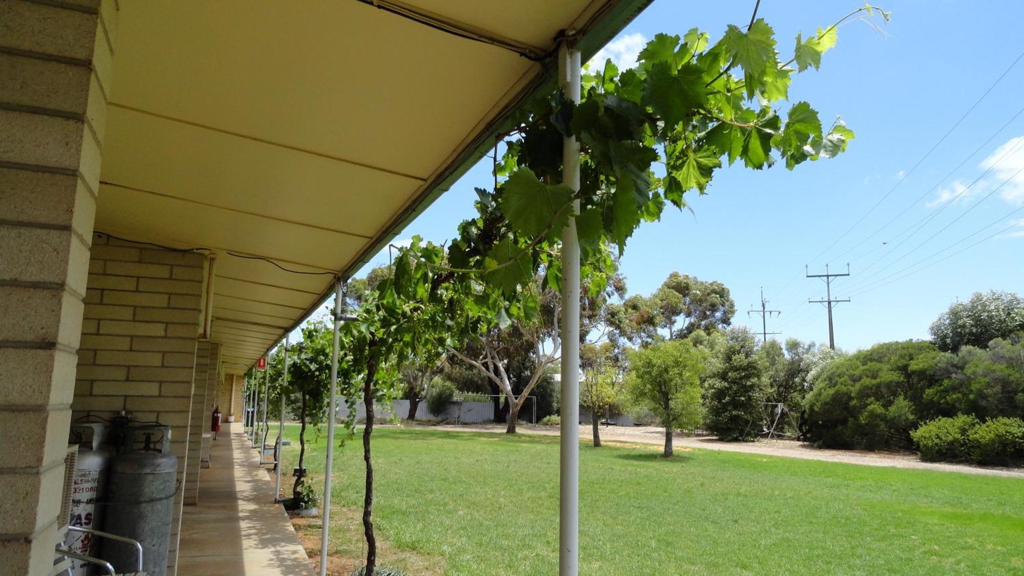 Murray Bridge Motor Inn Buitenkant foto